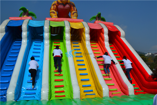 1521441252137525.jpg DSC_0348.jpg