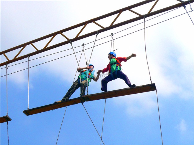 1562576336297349.jpg P1100264.jpg