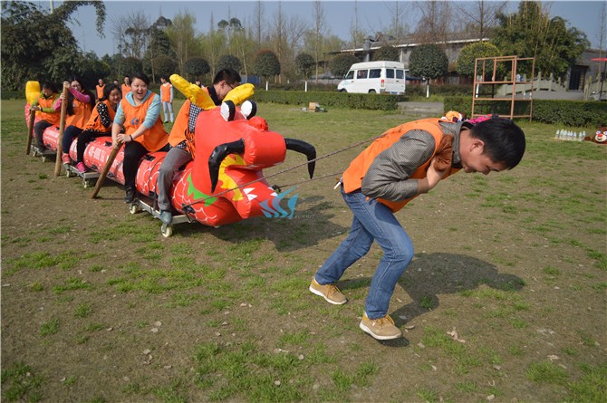 1563787149688078.jpg DSC_0104.jpg